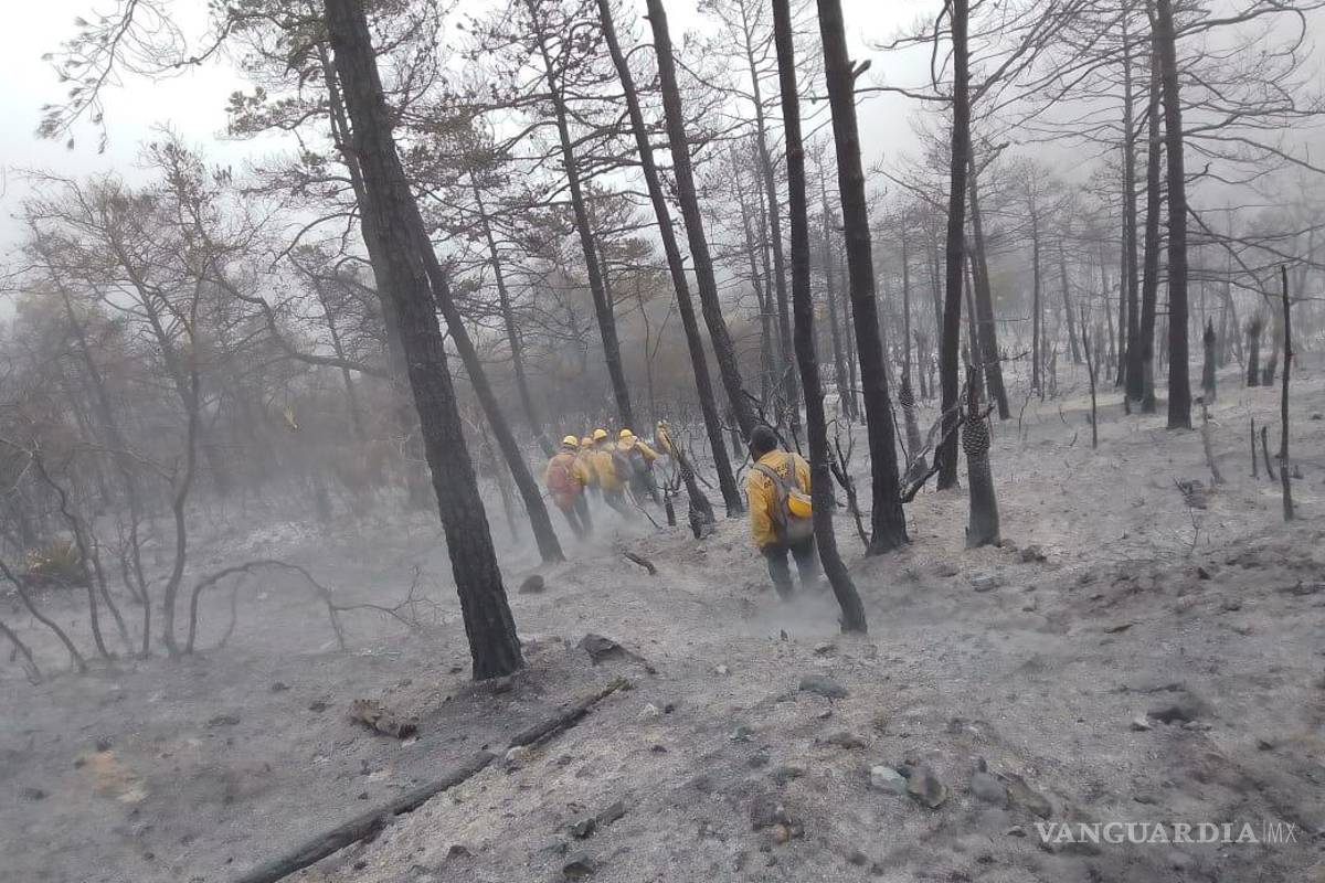 Liquidado el 98% del incendio en cañón de San Lorenzo en Saltillo