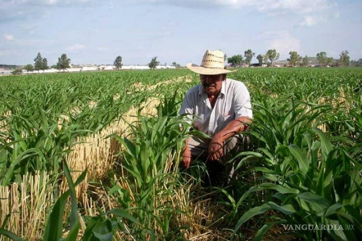 Ve Morena viable traer apoyo federal al campo de Coahuila