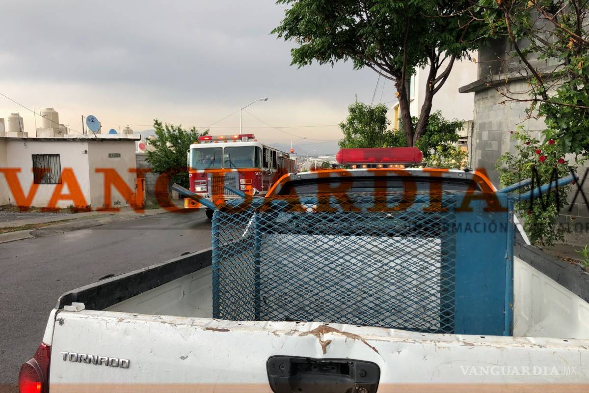 Osezno baja por incendio en Cañón de San Lorenzo y sorprende a vecinos de una colonia en Saltillo