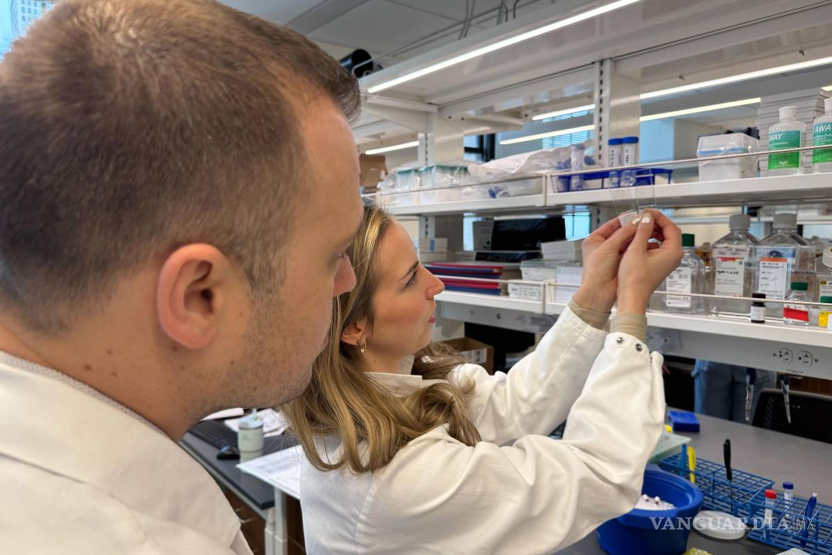 $!Los autores del estudio, David Gate (izquierda) y Lynn van Olst (derecha), comparan dos portaobjetos con tejido cerebral humano con enfermedad de Alzheimer.