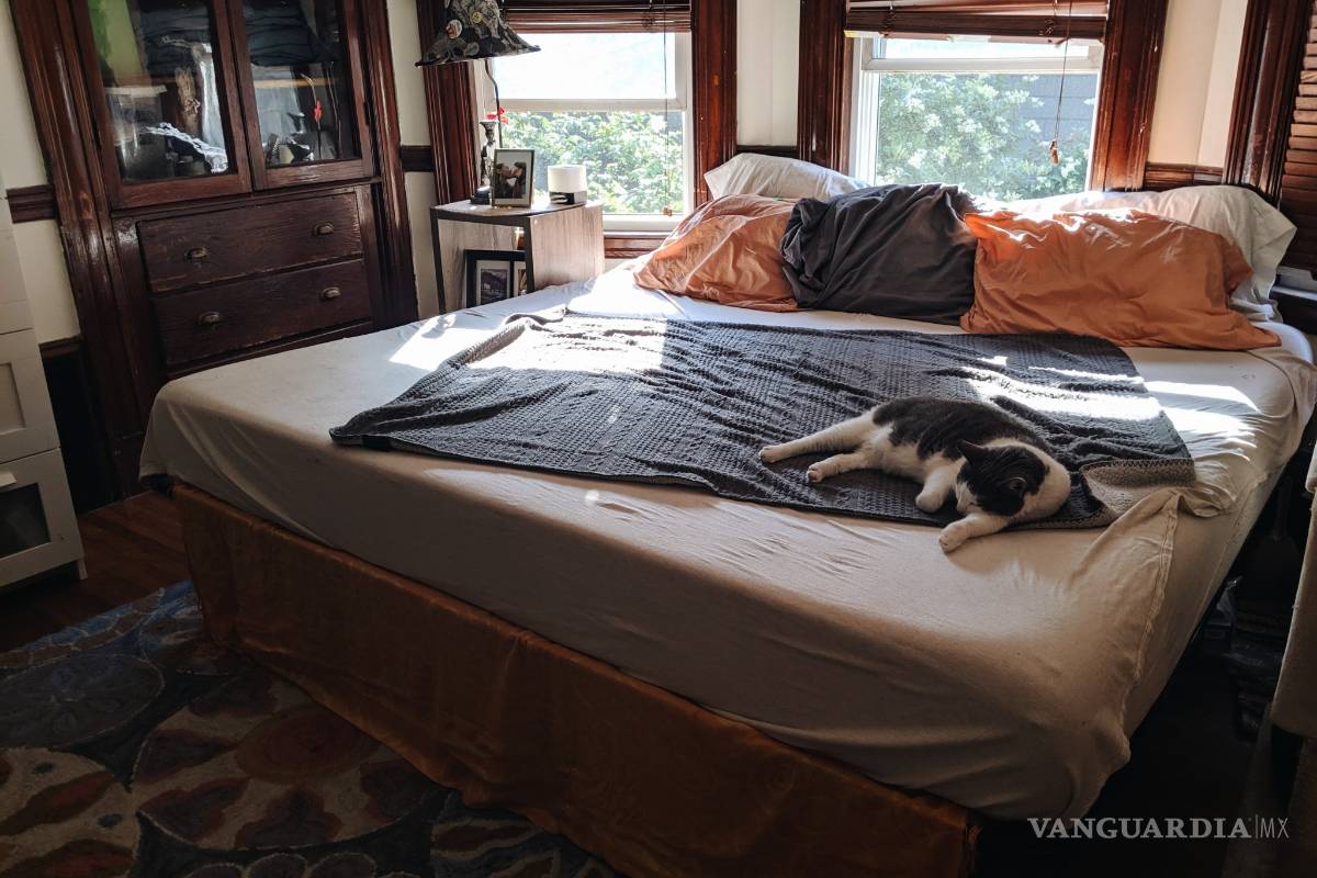 $!¡Año Nuevo, Vida Nueva! Propósitos para decorar tu casa en 2021