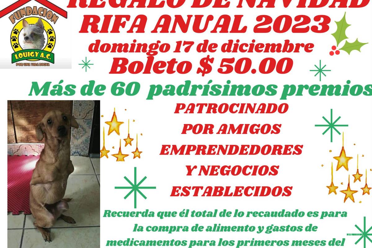 ¿Quieres apoyar? Invita fundación animalista a participar en rifa navideña por los perritos de Saltillo