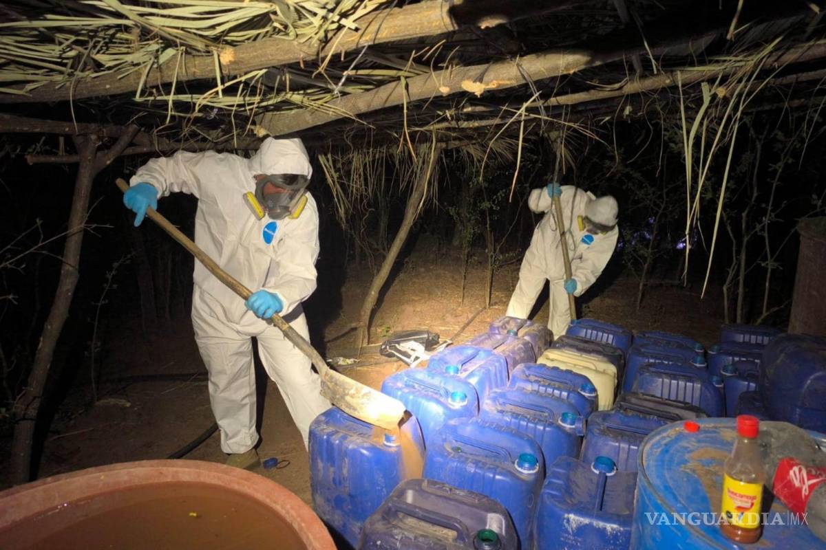 ICE desmantela laboratorios de narcotráfico en territorio mexicano
