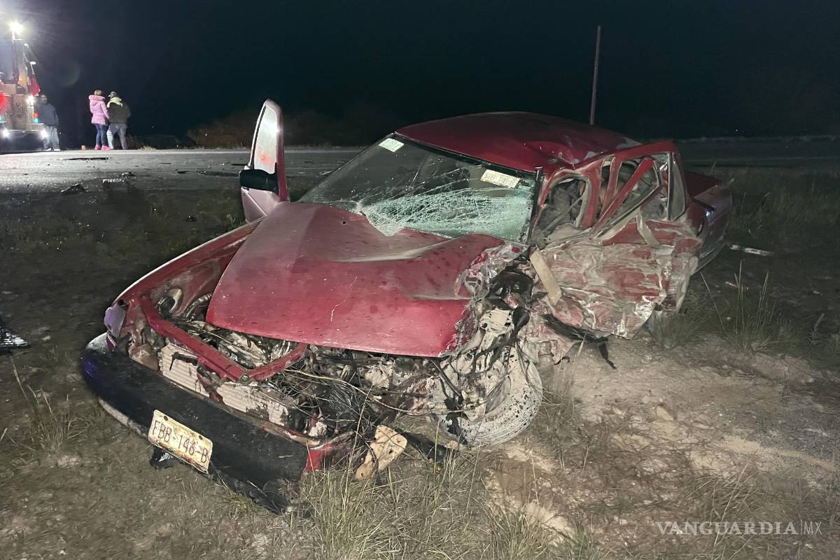 Hombre fallece tras arrollar a un enorme oso, que también murió, en la carretera a Zacatecas