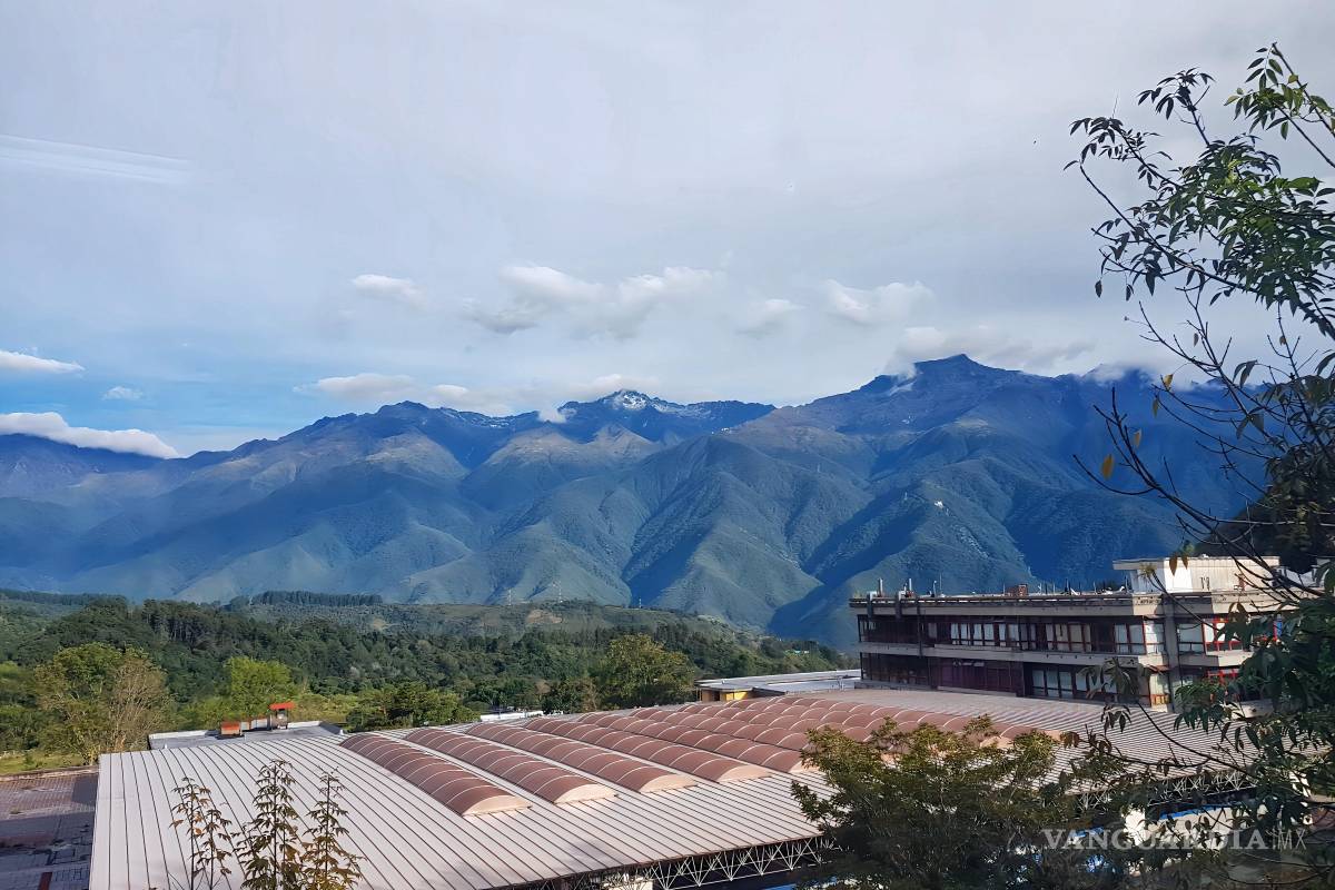 De viaje: aprendiendo a mirar paso a paso