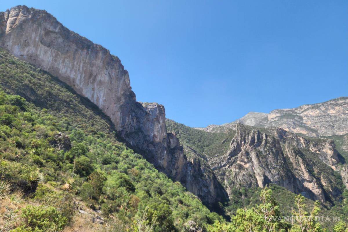 Busca Conserva San Lorenzo, A.C. adquirir predios para proteger el Cañón de San Lorenzo