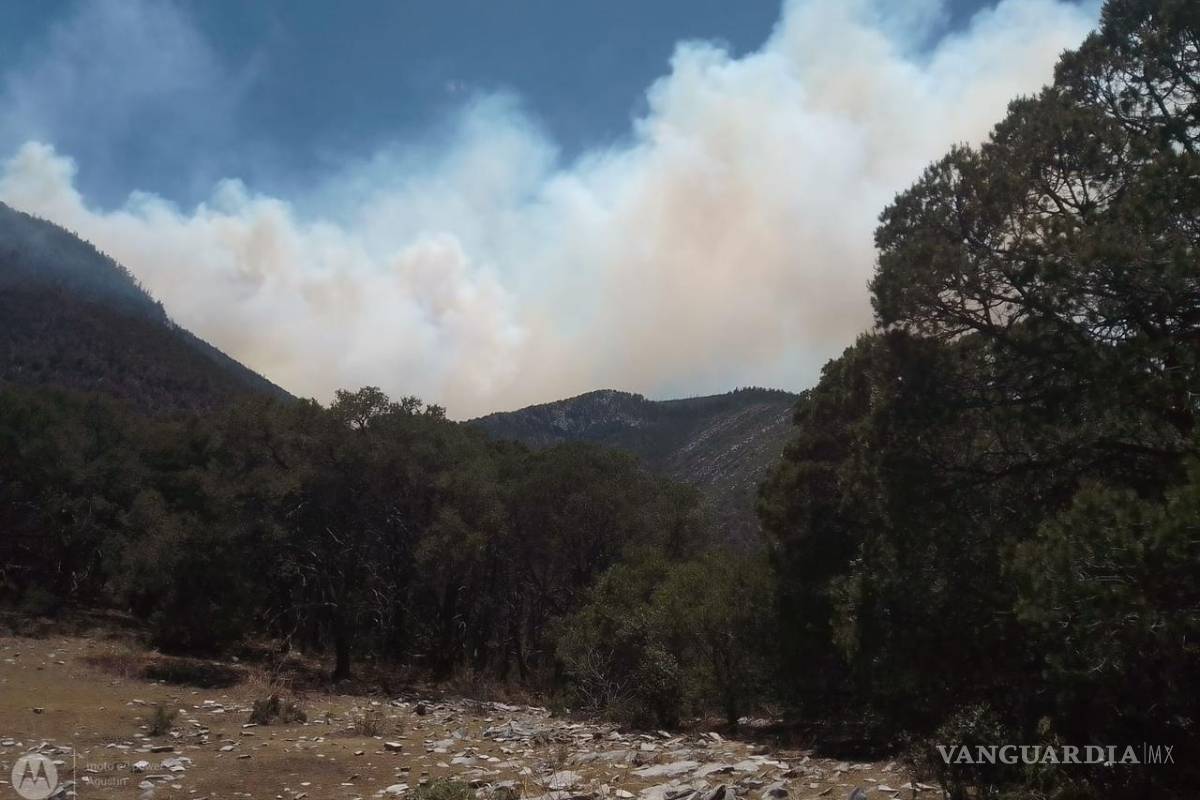 $!Lo difícil del acceso hace que las labores de combate se dificulten y el fuego avance.