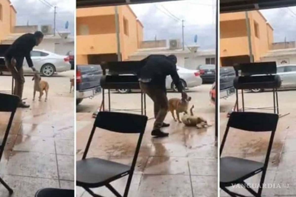 Esto le espera a quien apuñaló a un perro en Piedras Negras