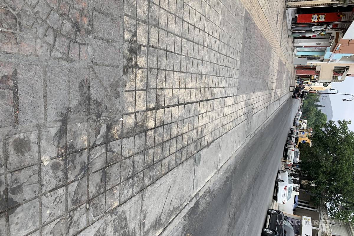 Saltillo: la calle Victoria requiere una “manita de gato”