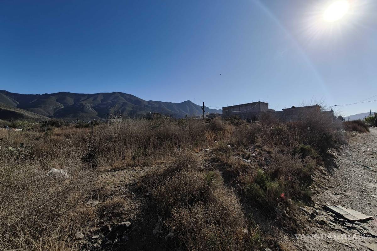 Urge detener el ecocidio causado con la invasión a la Sierra de Zapalinamé en Saltillo: Activista