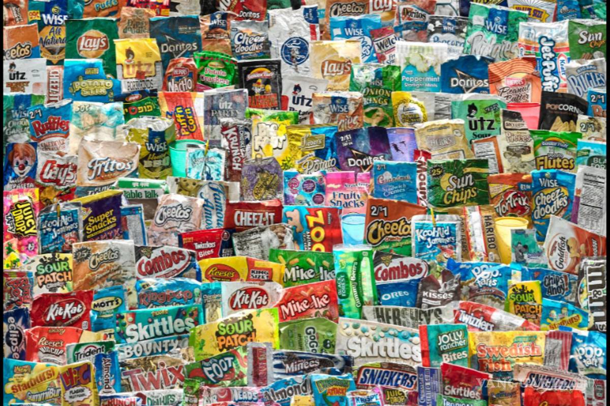 Usa artista basura del océano para hacer arte