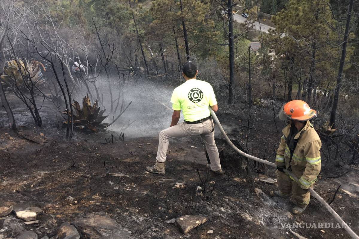 En lo que va del año 70 incendios forestales se han registrado en Coahuila