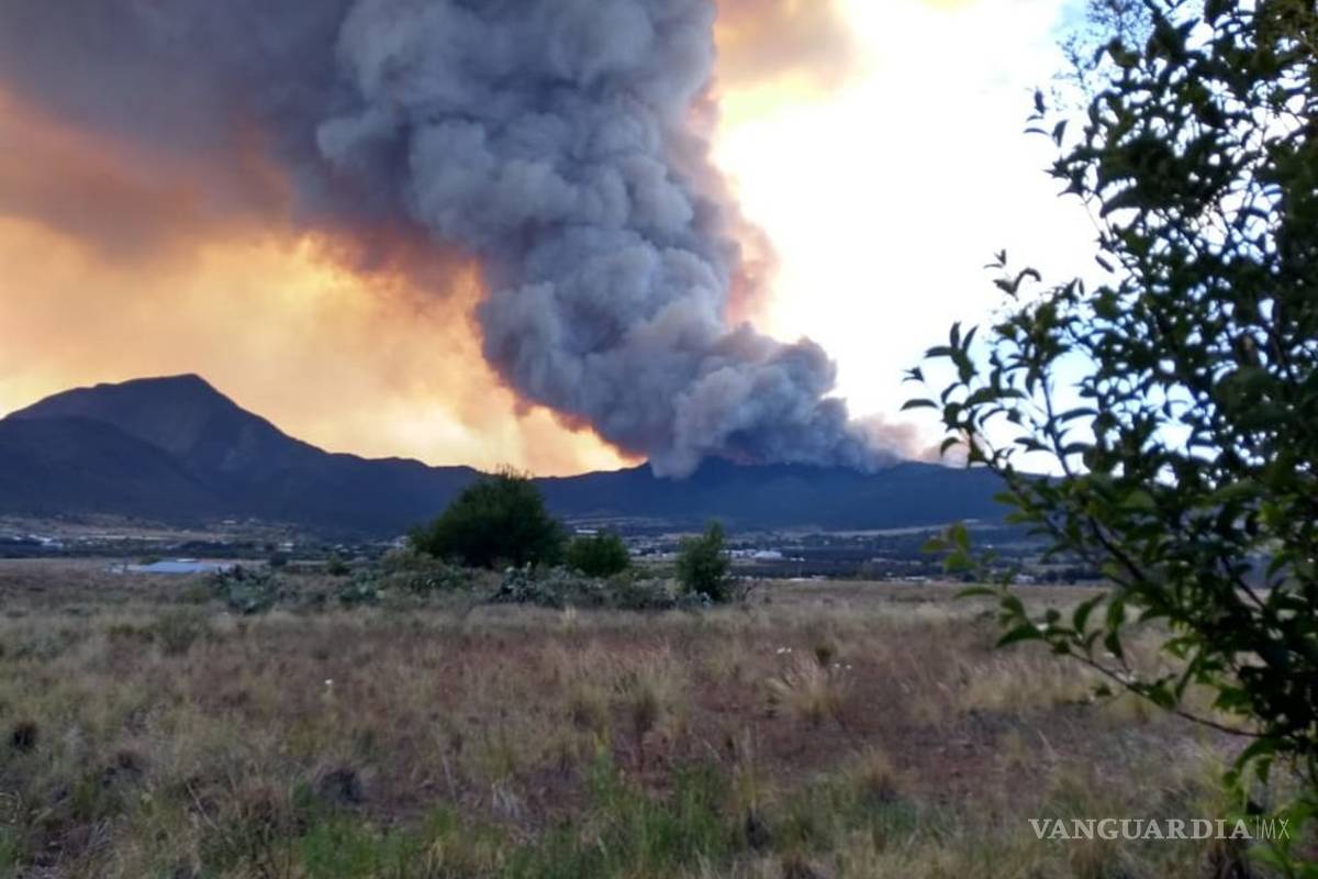 Amigos de la Sierra A.C. piden apoyo para reforestación tras incendio en Arteaga