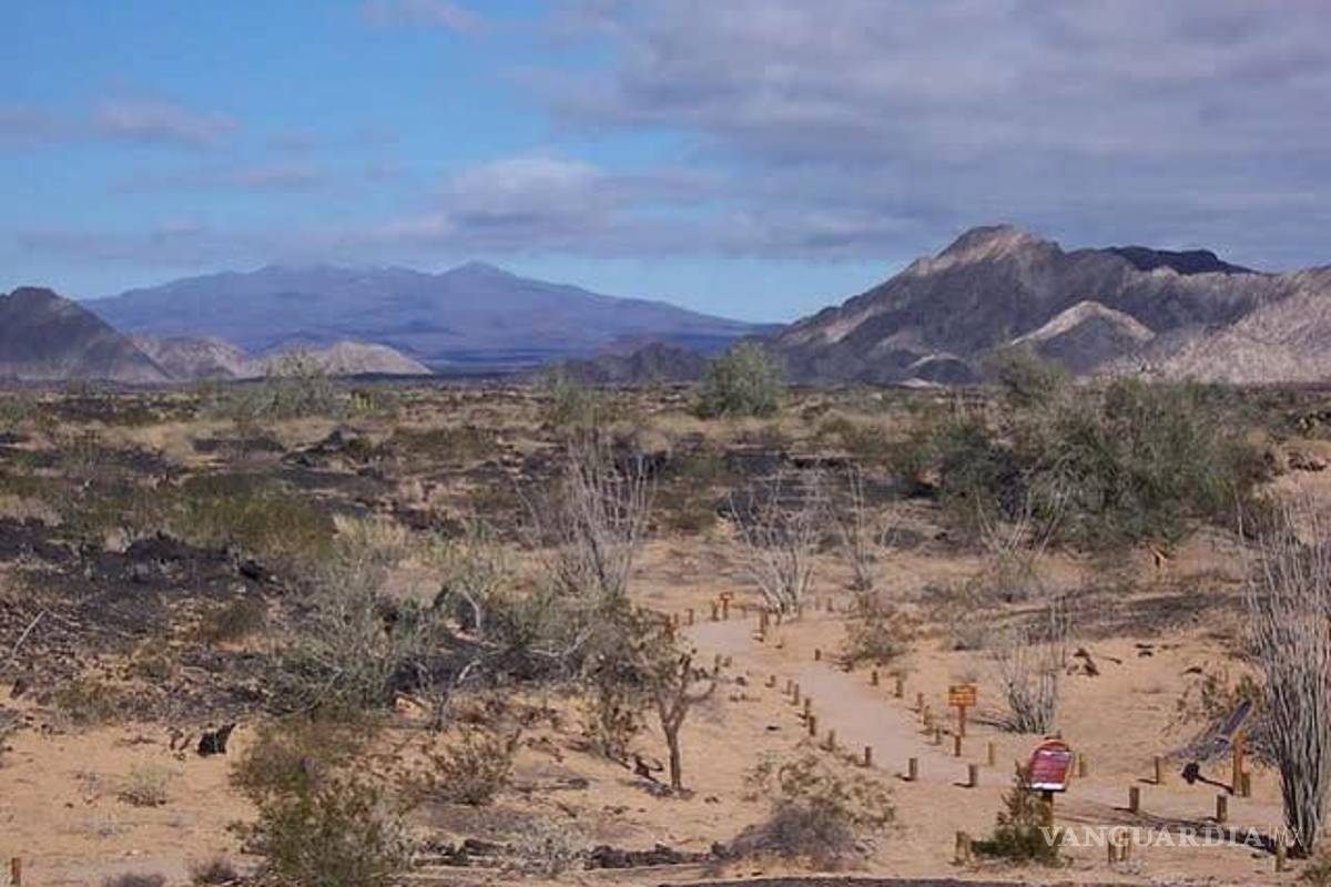 Masacraron a más de 50 migrantes en el desierto de Sonora, denuncia organización