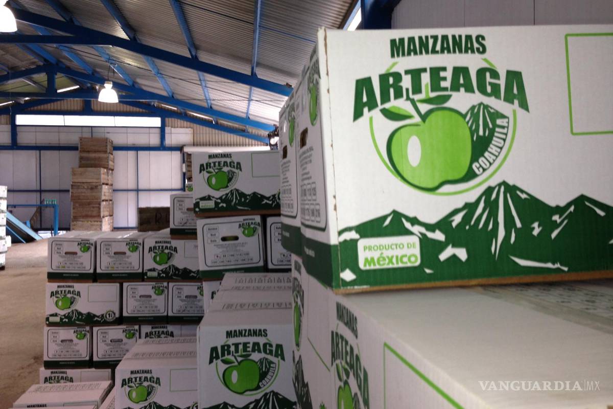 Sí tendrá Arteaga Feria de la Manzana