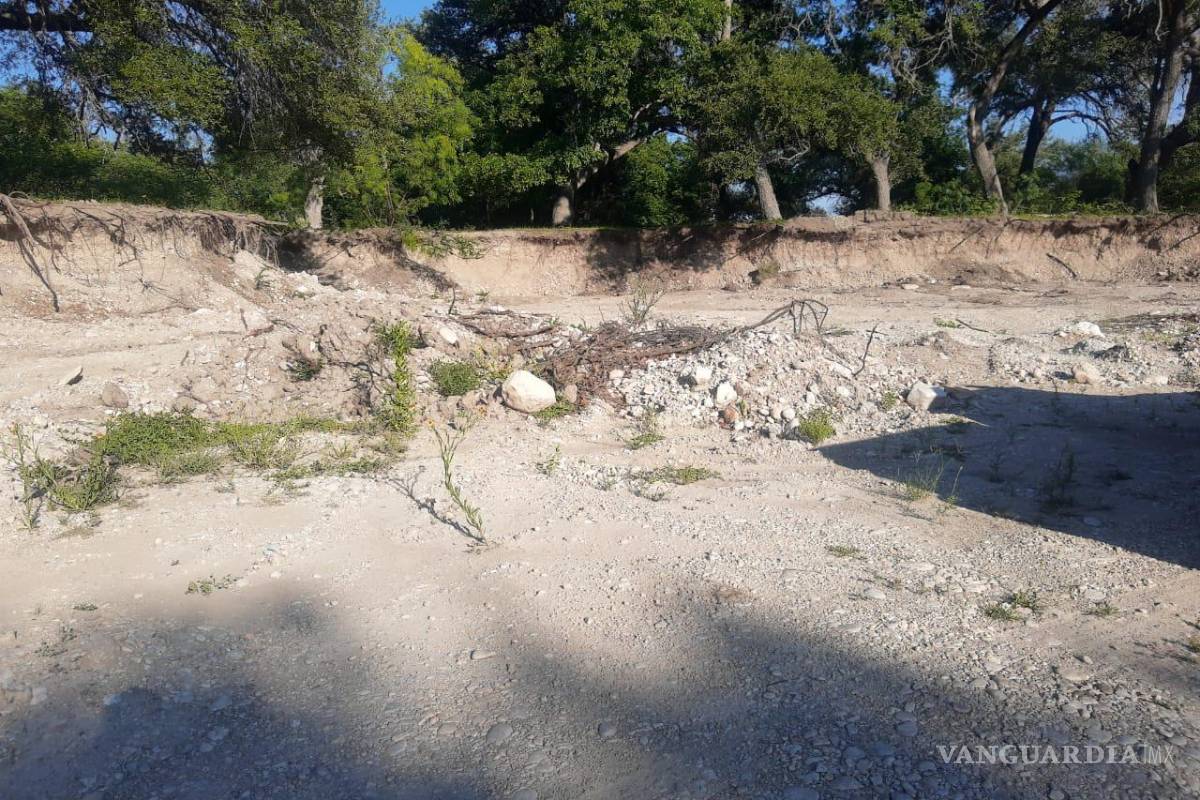 Descubren tala clandestina y saqueo de material pétreo en Acuña; denuncian a Profepa