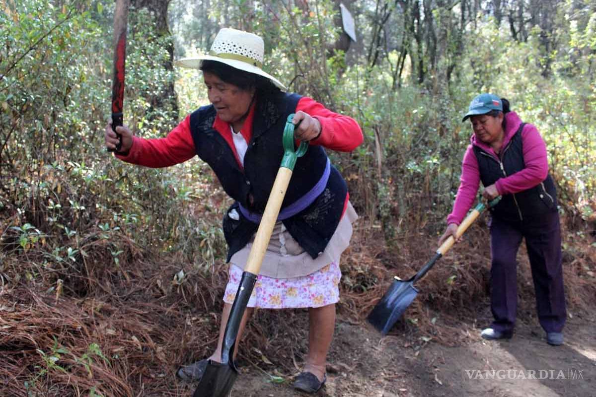 Con picos y palas estas mujeres protegen el Parque Nacional Malinche