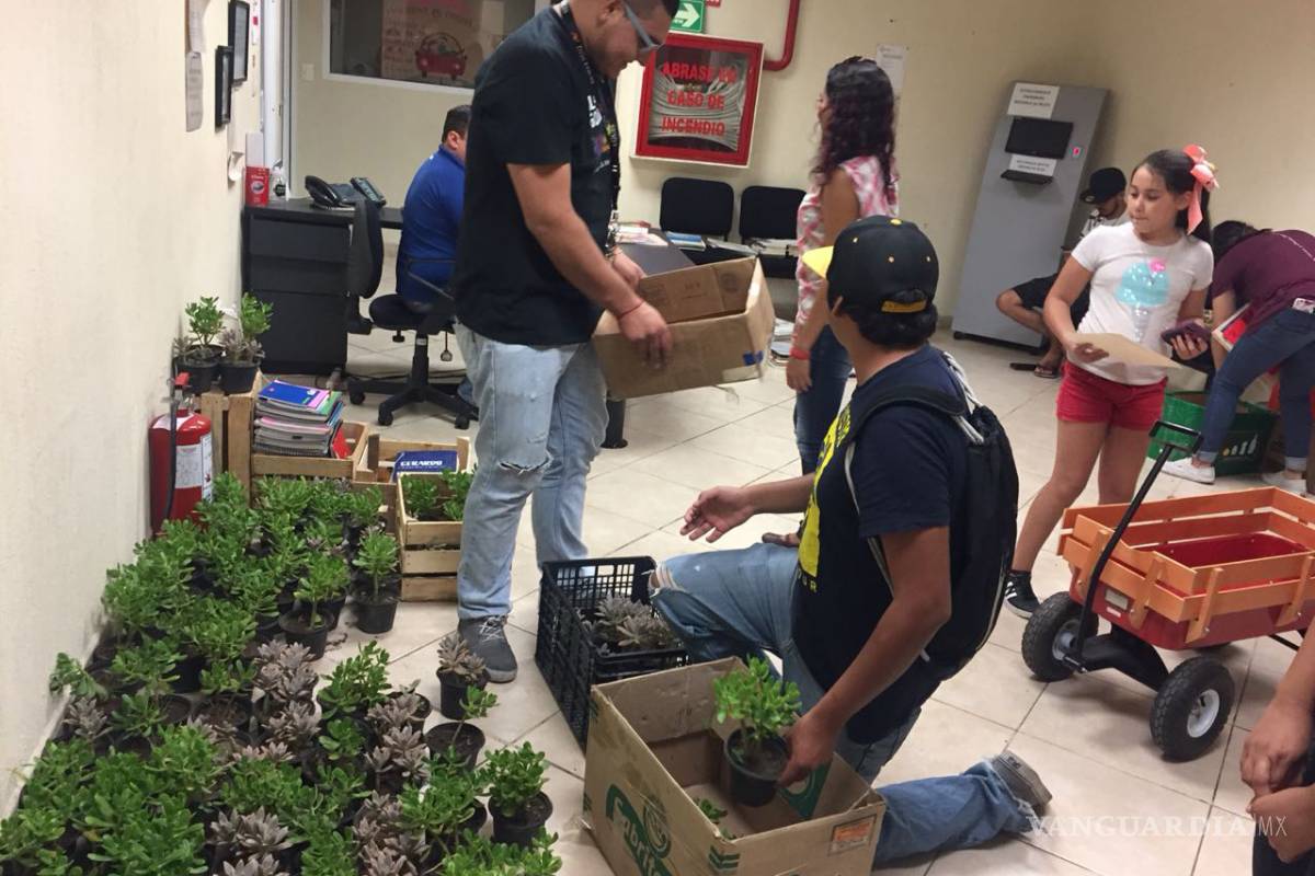 Cambian cuadernos por plantitas