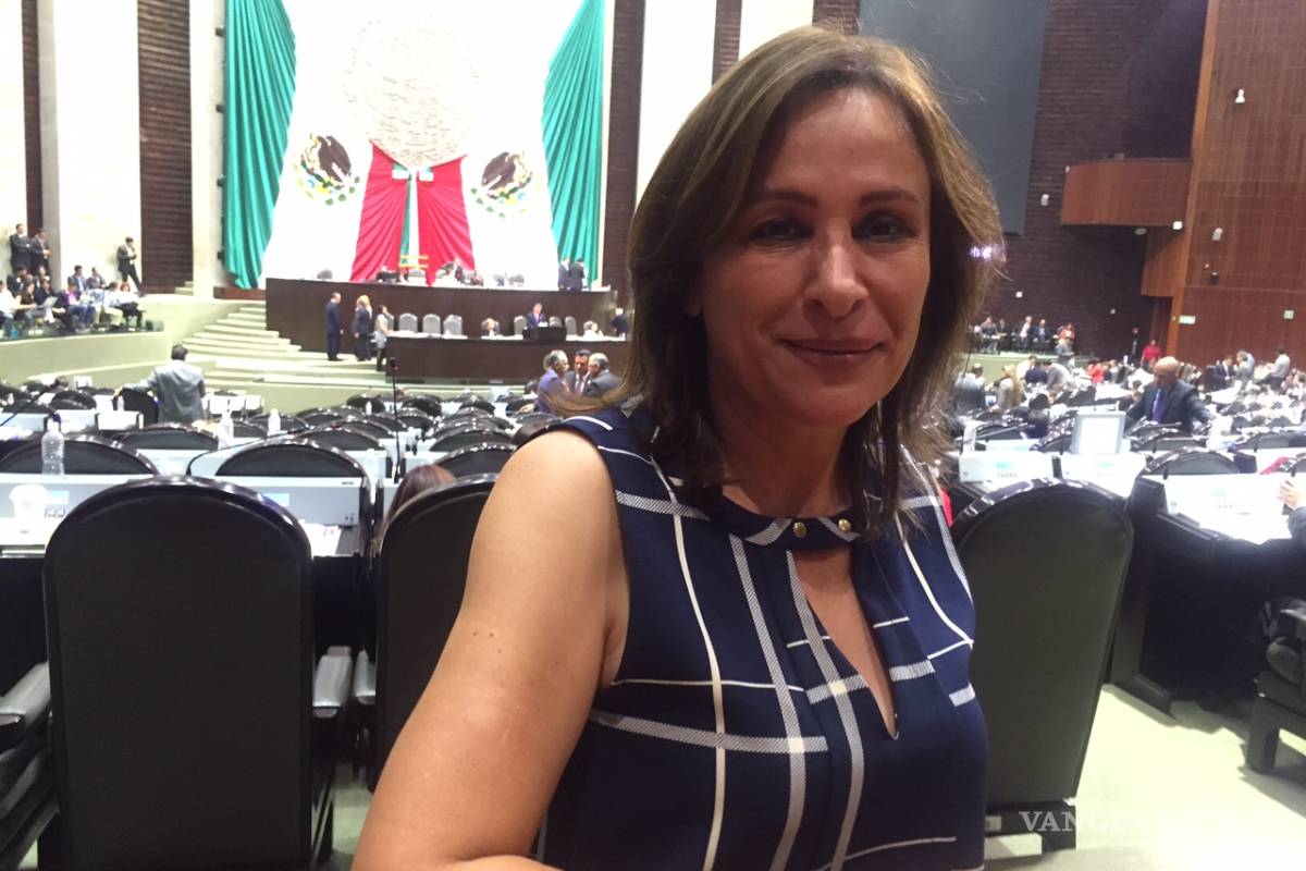 PGR debe solicitar desafuero de Rocío Nahle, dice Yunes