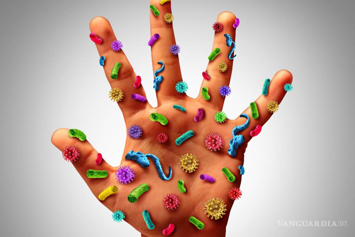 ¿Estás seguro de que lavas bien tus manos?... este artículo te debe interesar