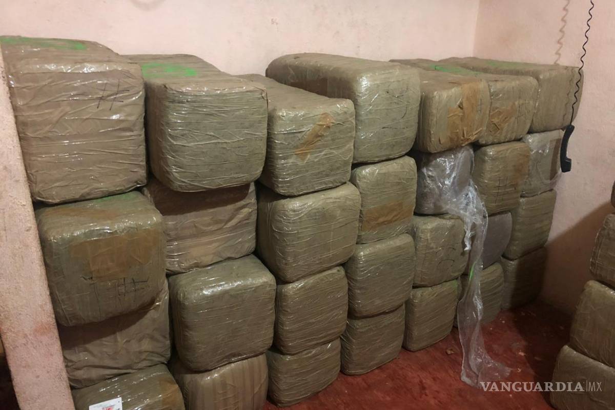 Decomisan mariguana en Guadalupe, NL... detienen a una persona