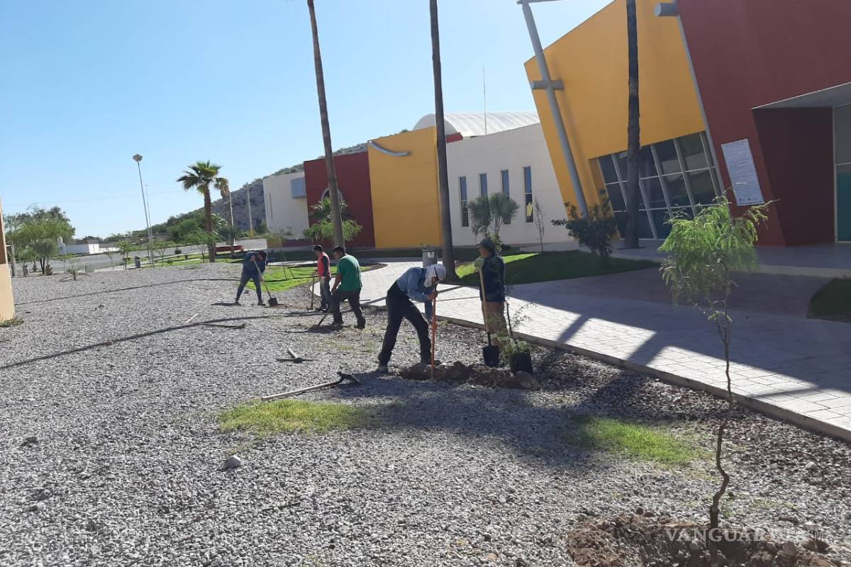 La dirección de Medio Ambiente de Torreón reforesta la Jabonera