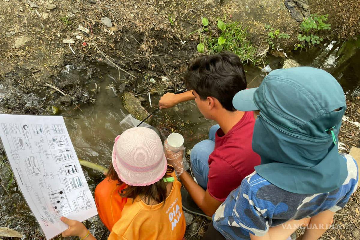 Alto grado de contaminación del Pozo Azul vuelve letal entorno para Carpita de Saltillo