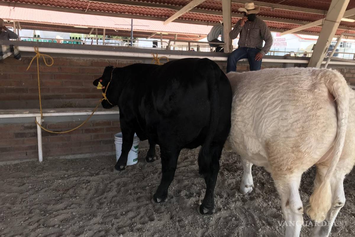 Responde productores por recorte de 250mdp para campo: menciona José Luis Flores de SDR Coahuila