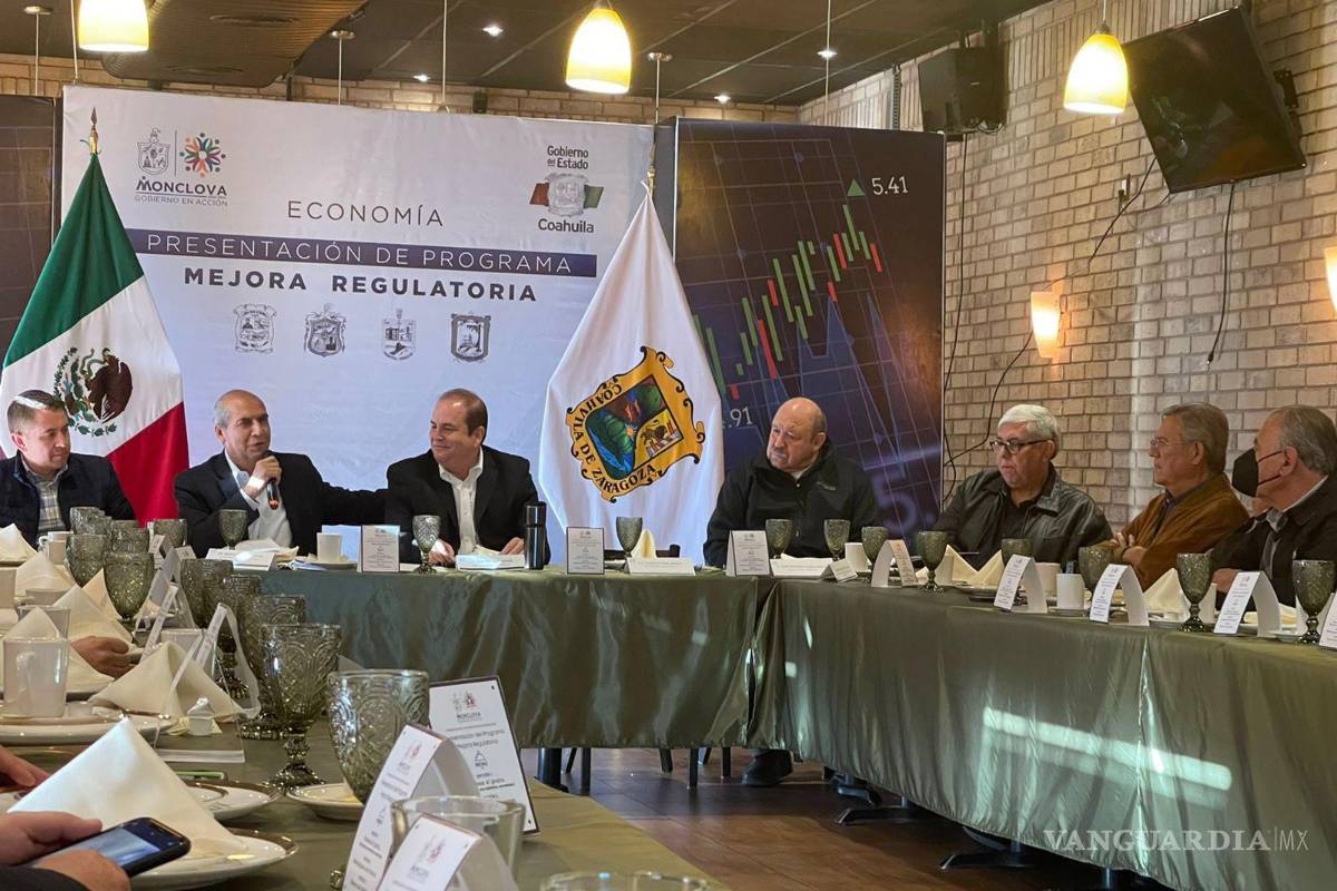 Urge diversificar industria yno depender solo de Ahmsa