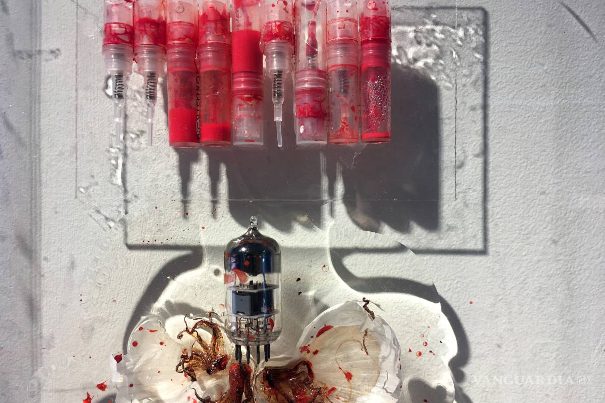 YoungArts, un modelo de apoyo al talento de jóvenes artistas