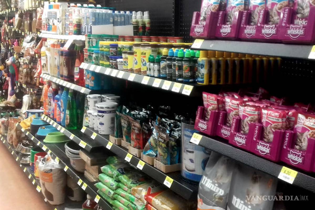 $!Lo que te cuesta mantener más: ¿perro o gato?