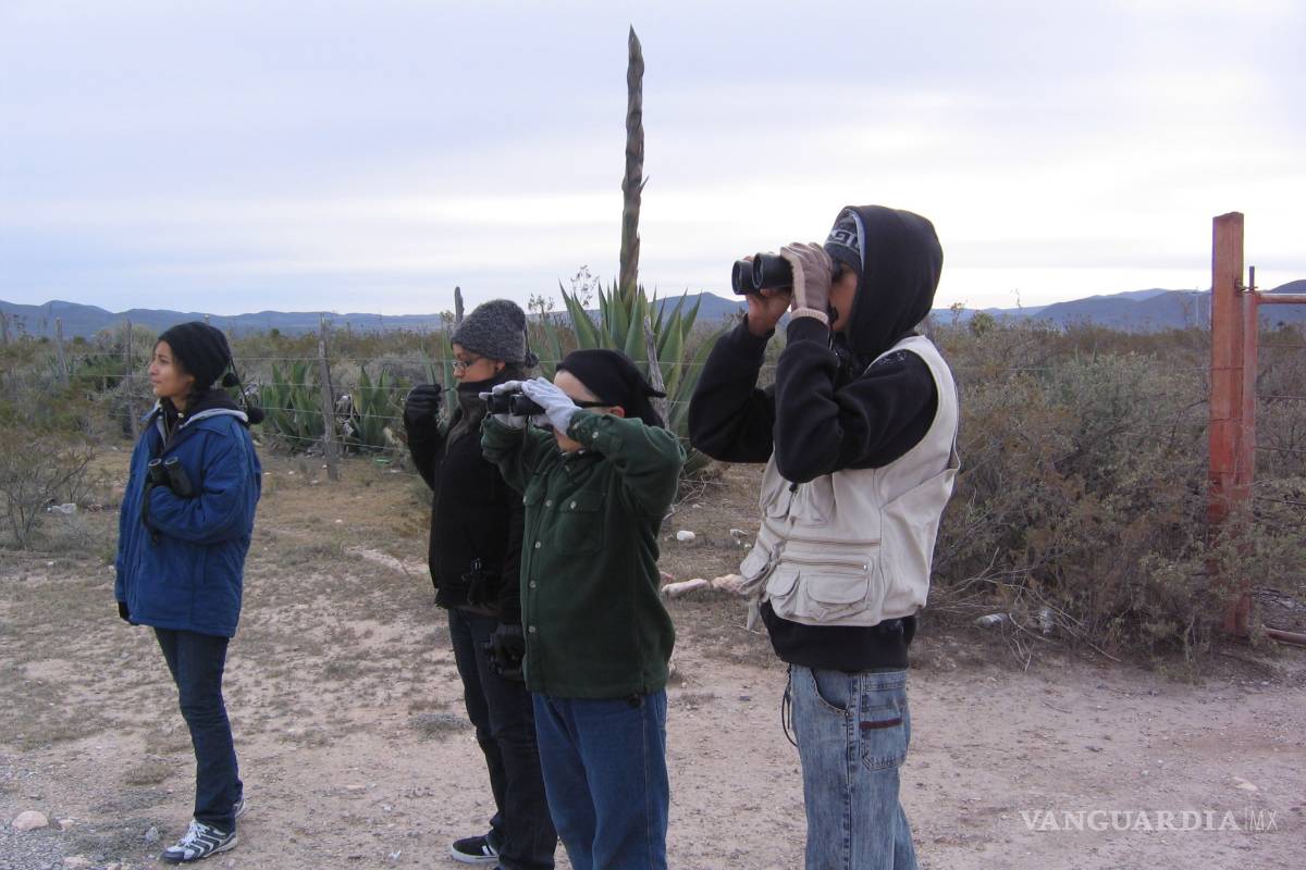 Saltillo, donde anidan las aves