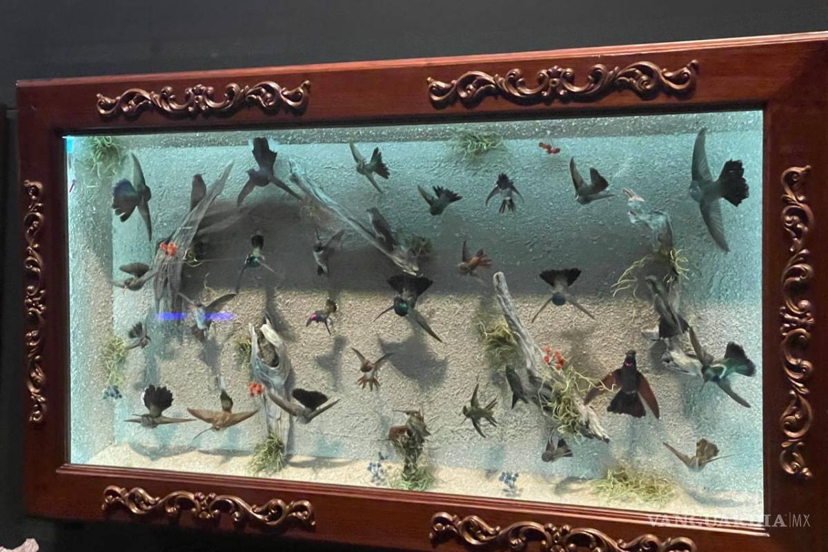 La Milarca abre sus puertas este viernes en San Pedro Garza García, Nuevo León