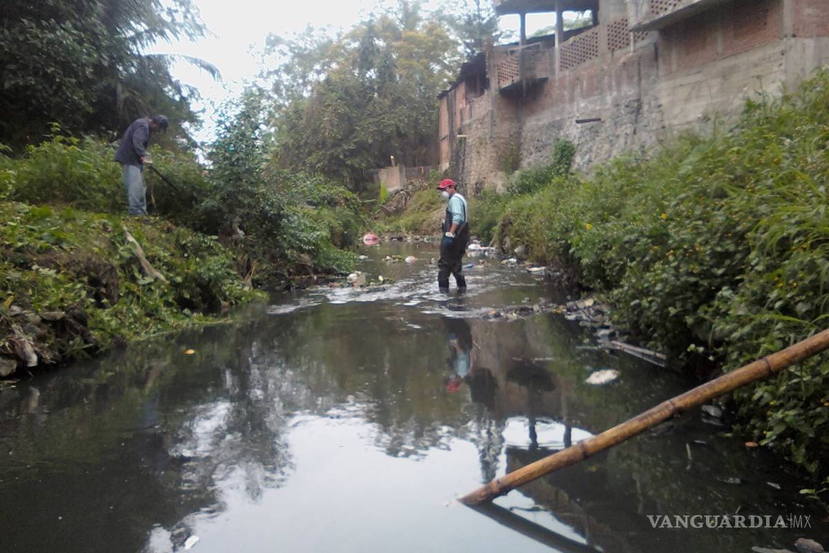 Pide respetar flora y fauna de arroyos