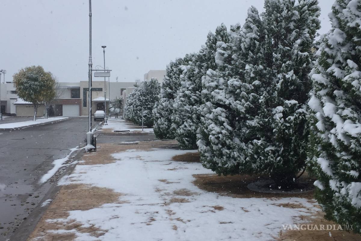 20 años después, vuelve a caer nieve en Torreón