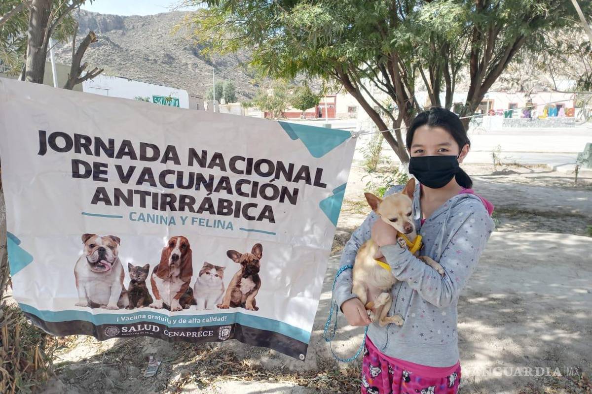 Proteger contra la rabia a mascotas; sencillo y gratis en el Bosque Urbano