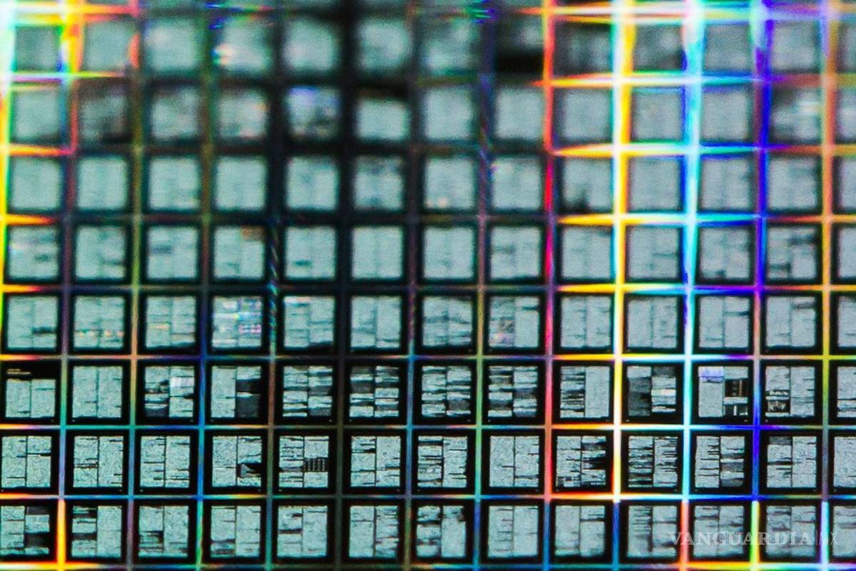 $!Una nave espacial israelí se estrella en la luna, ¡y ahora hay miles de tardígrados por todos lados!