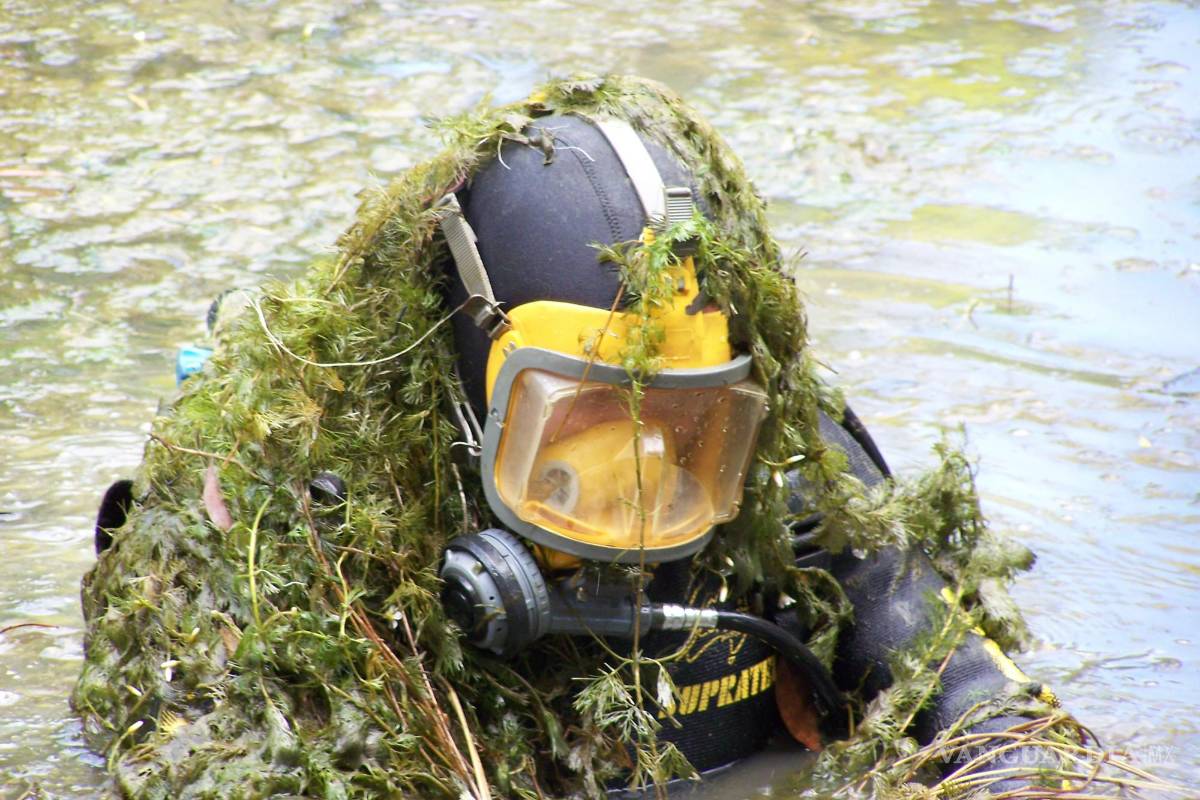 Alga cabomba, la planta acuática ornamental que amenaza a Australia