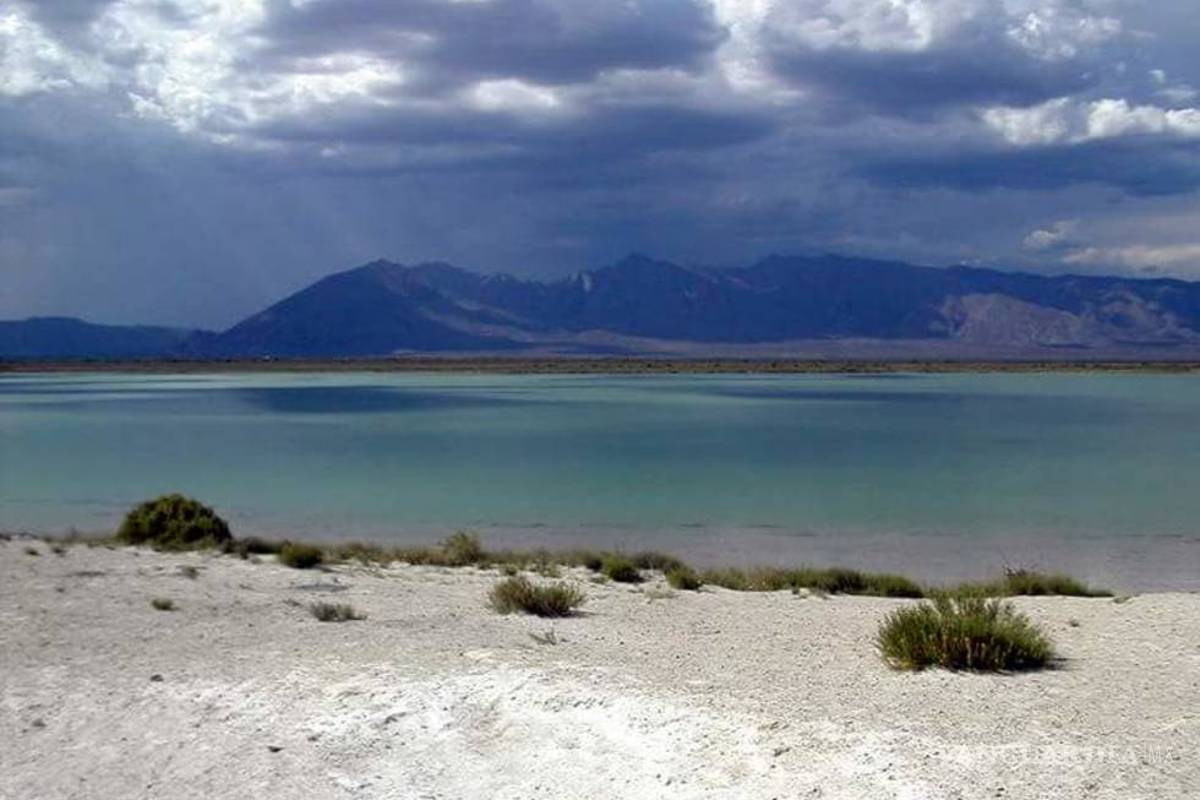 Deben Profauna y Conagua proteger Cuatro Ciénegas