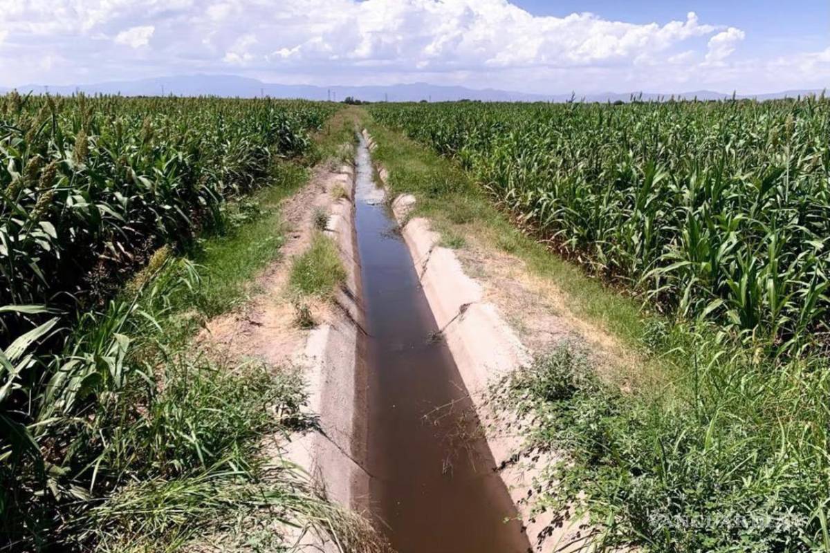 Abrirán par de presas en Torreón, se preparan para etapa de pre siembra