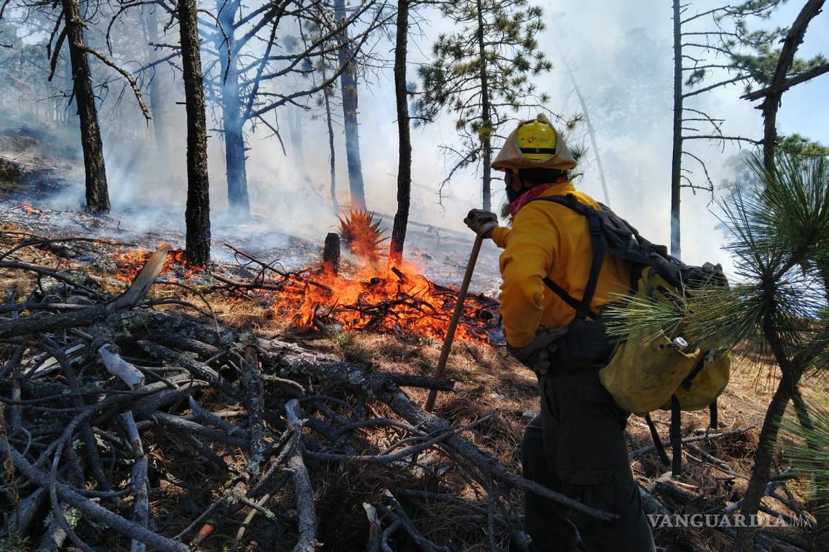 Combaten por tercer día incendios en Galeana, Nuevo León; controlan uno de los tres