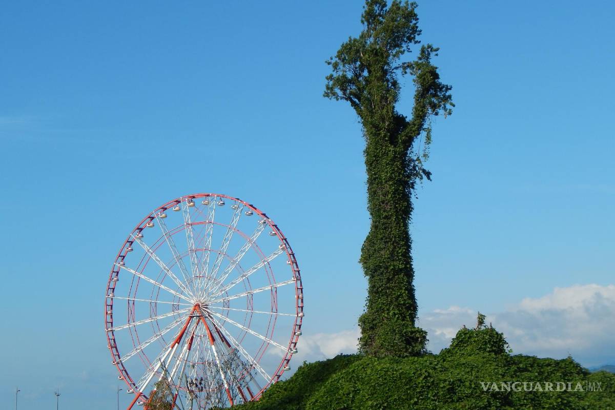 $!Una noria en el puerto. EFE/Misha Vignanski