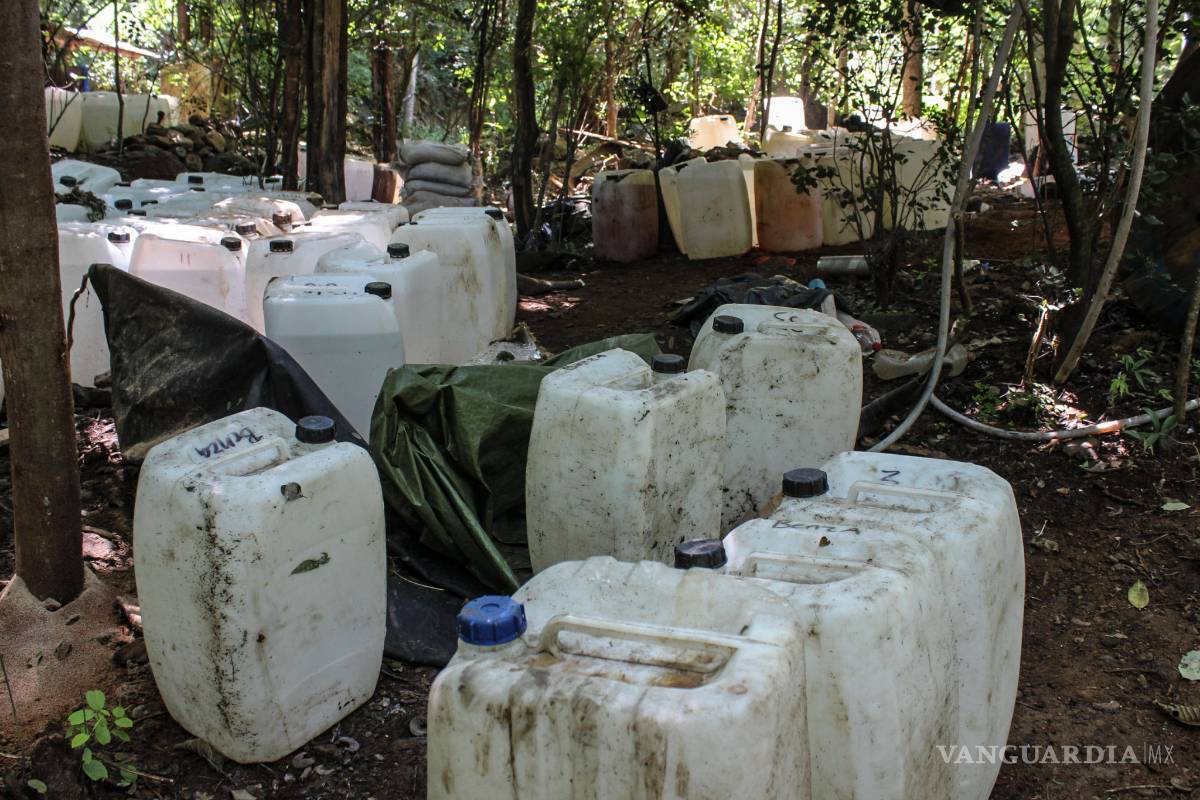 Aseguran drogas y armas con valor de 23 mdp en Sinaloa