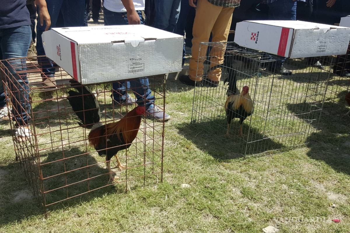 $!Sepultan a hijo del alcalde de Frontera