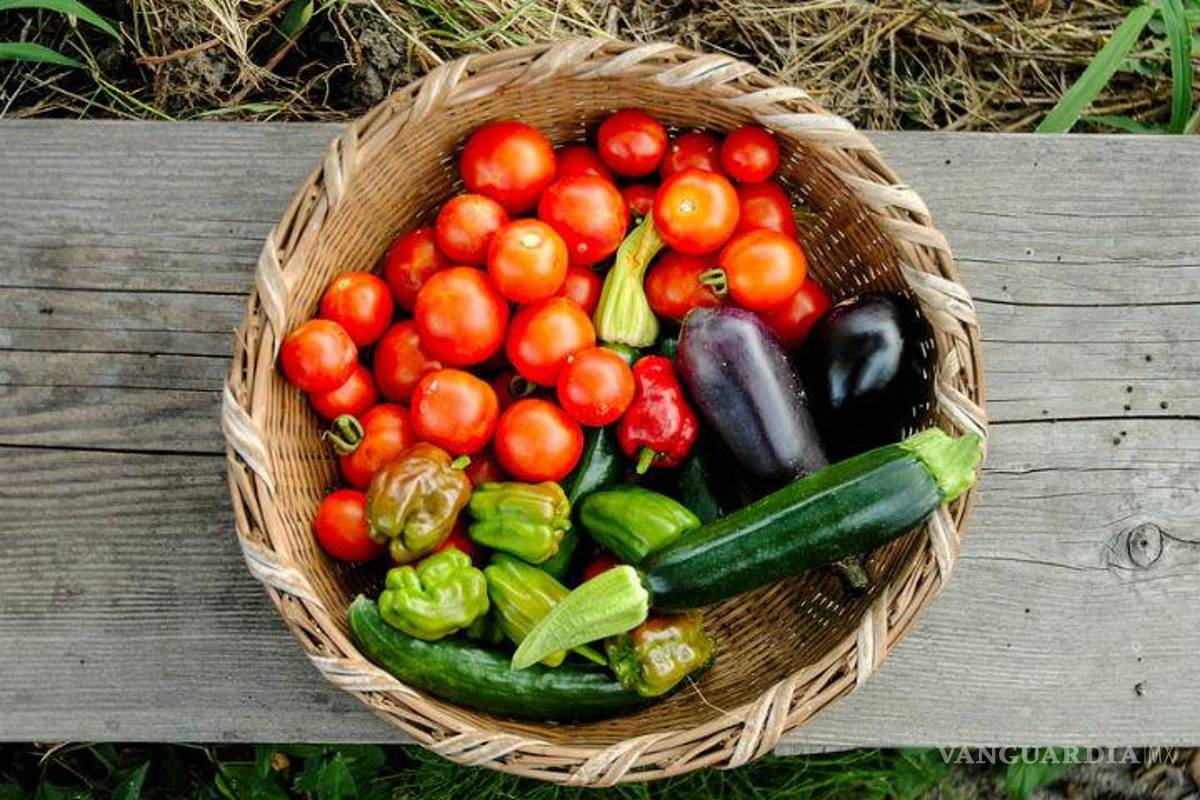 El jitomate mexicano está en peligro