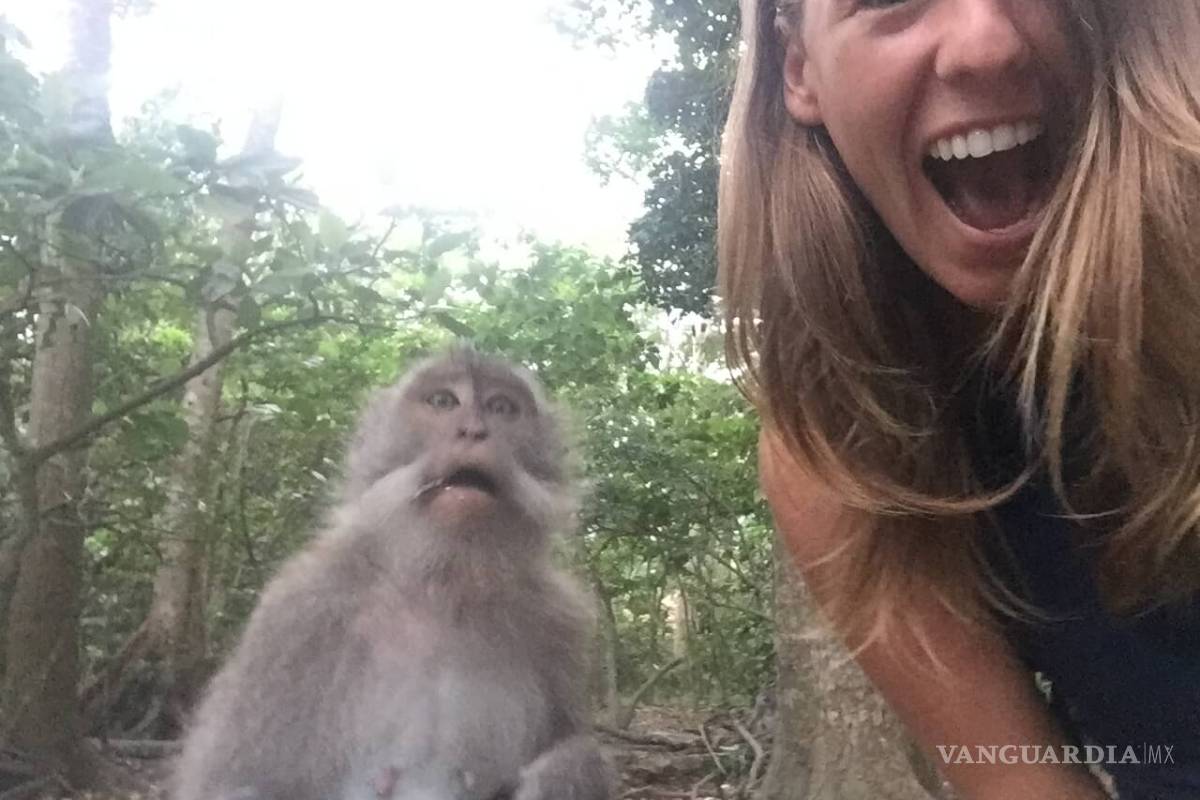 ONG denuncia que las selfies son una forma de crueldad contra los animales