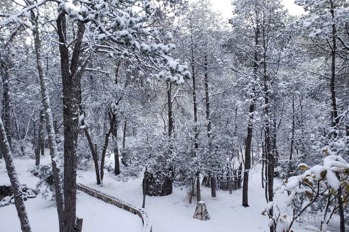 $!Arteaga se pinta de blanco en el último día del año