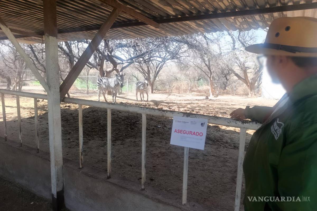 $!Profepa interviene rancho en Aguascalientes y asegura 44 ejemplares de fauna silvestre