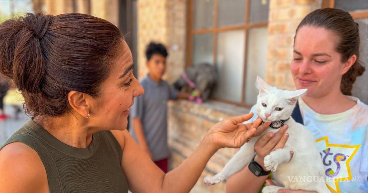 DIF Ramos Arizpe refuerza atención a mascotas con jornadas gratuitas