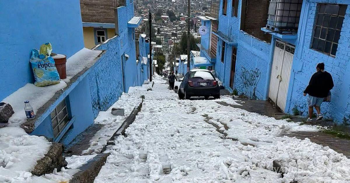Primer frente frío de 2026: ¿cuándo llegará a México y qué estados sentirán sus efectos?